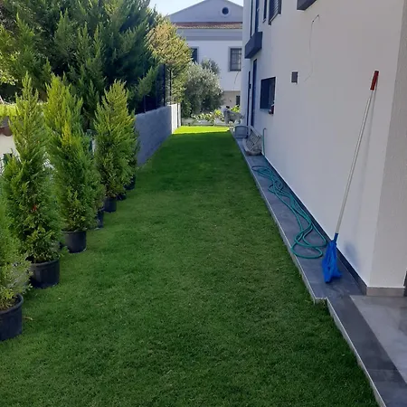 Vogue Germiyanyalisi